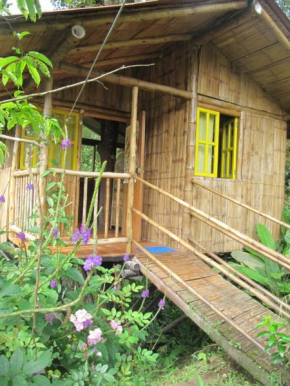 Casa en el Arbol